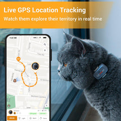 Pawfit Lite safety-collar included ensures secure daily wear and quick setup