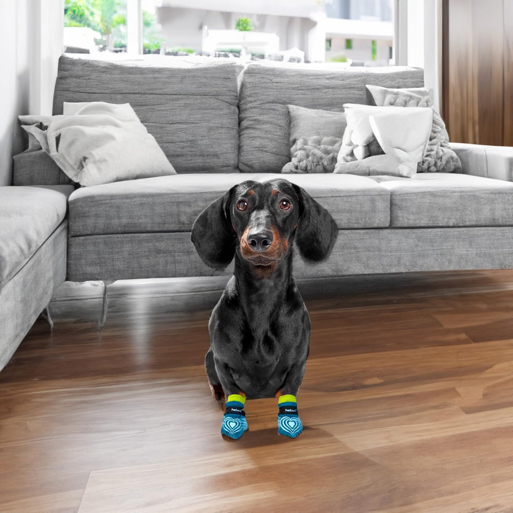 PawFlex Comfy Pawz adjustable-strap close-up shows secure, customizable fit