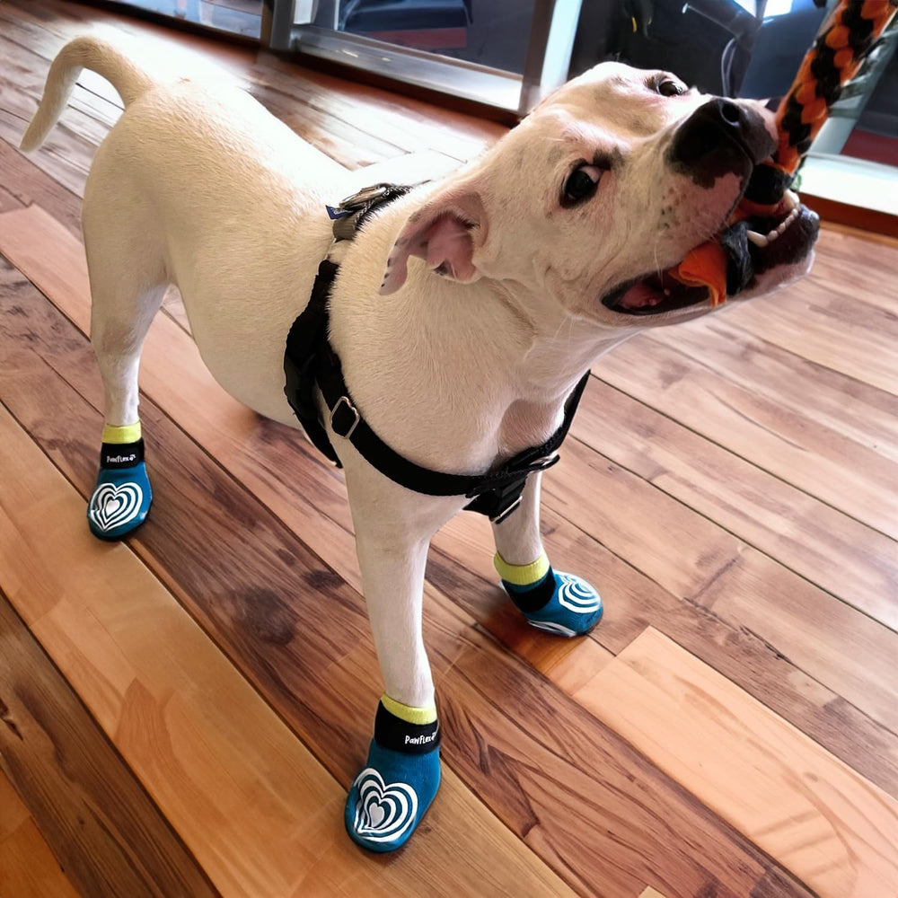 PawFlex Comfy Pawz double-sided traction close-up highlights grip on multiple surfaces