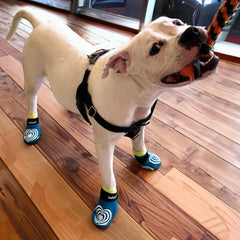 PawFlex Comfy Pawz double-sided traction close-up highlights grip on multiple surfaces