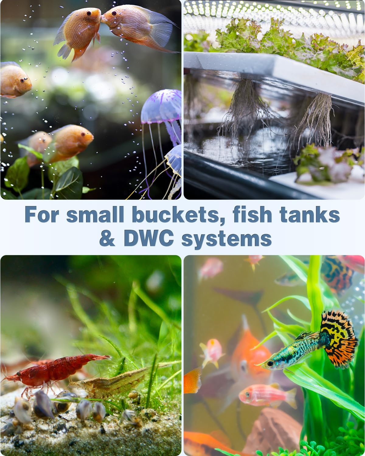 Pawfly 12-pack air stones packaging—convenient stock for multiple tanks