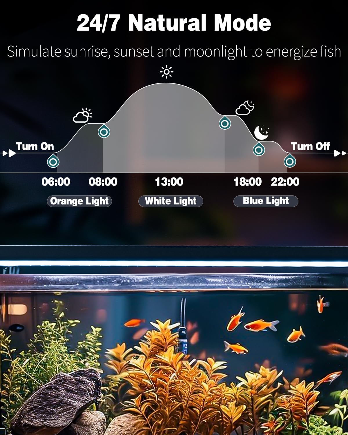 Pawfly 20W in Day/Night mode with adjustable day length and moonlight effects.
