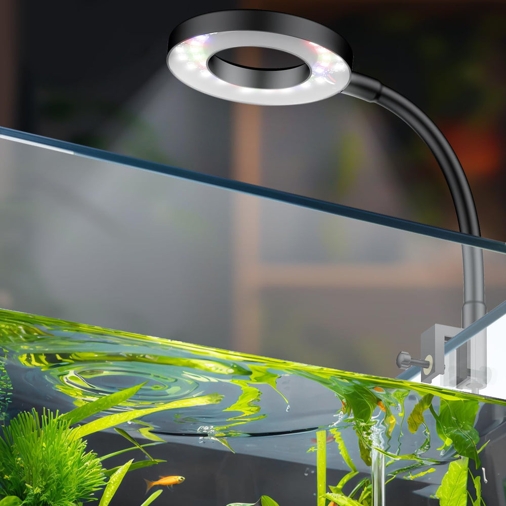 Pawfly 6W LED clip-on light for small tanks delivering bright full-spectrum illumination.