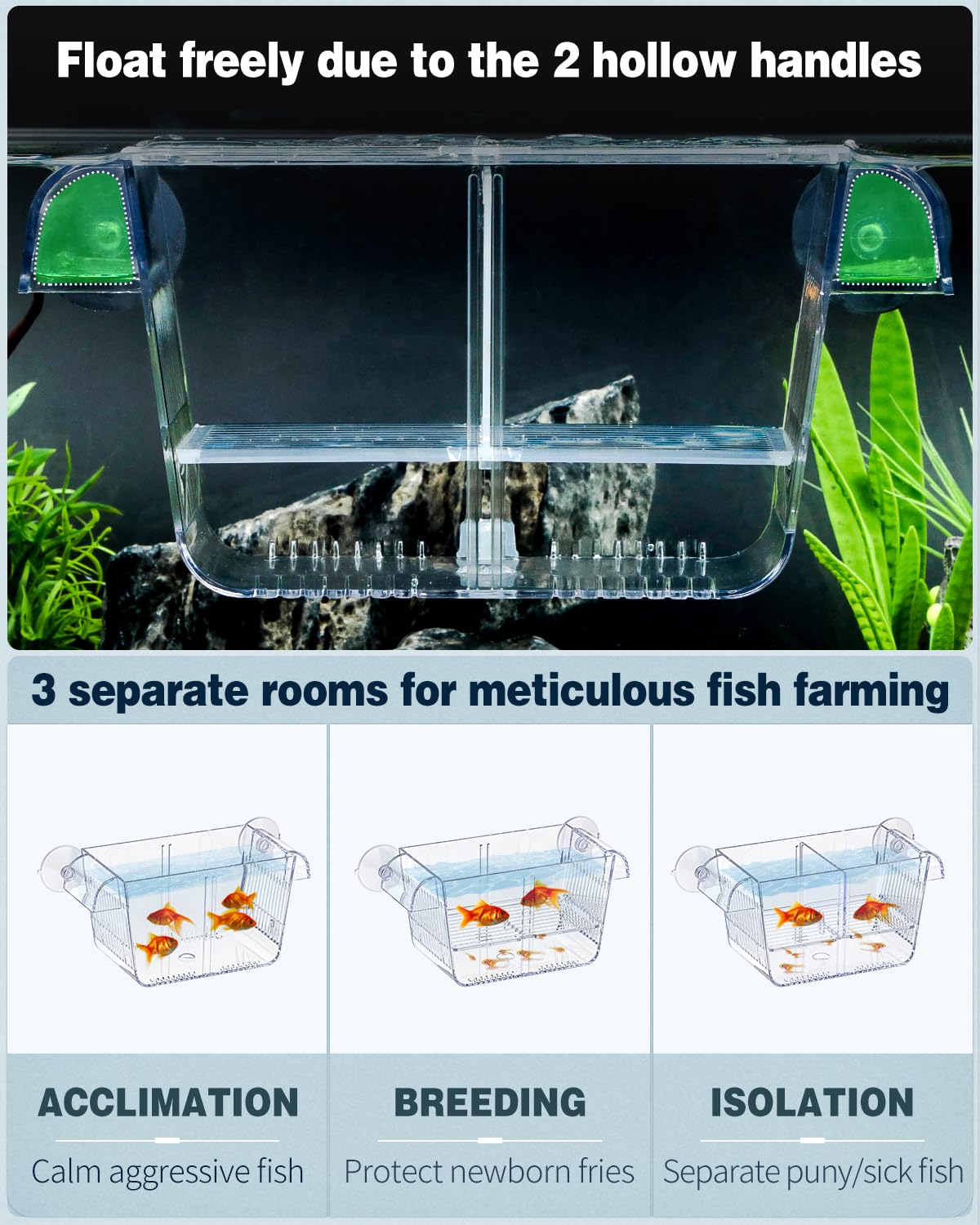Pawfly acrylic isolation box offers transparent viewing to monitor fry and fish behavior.