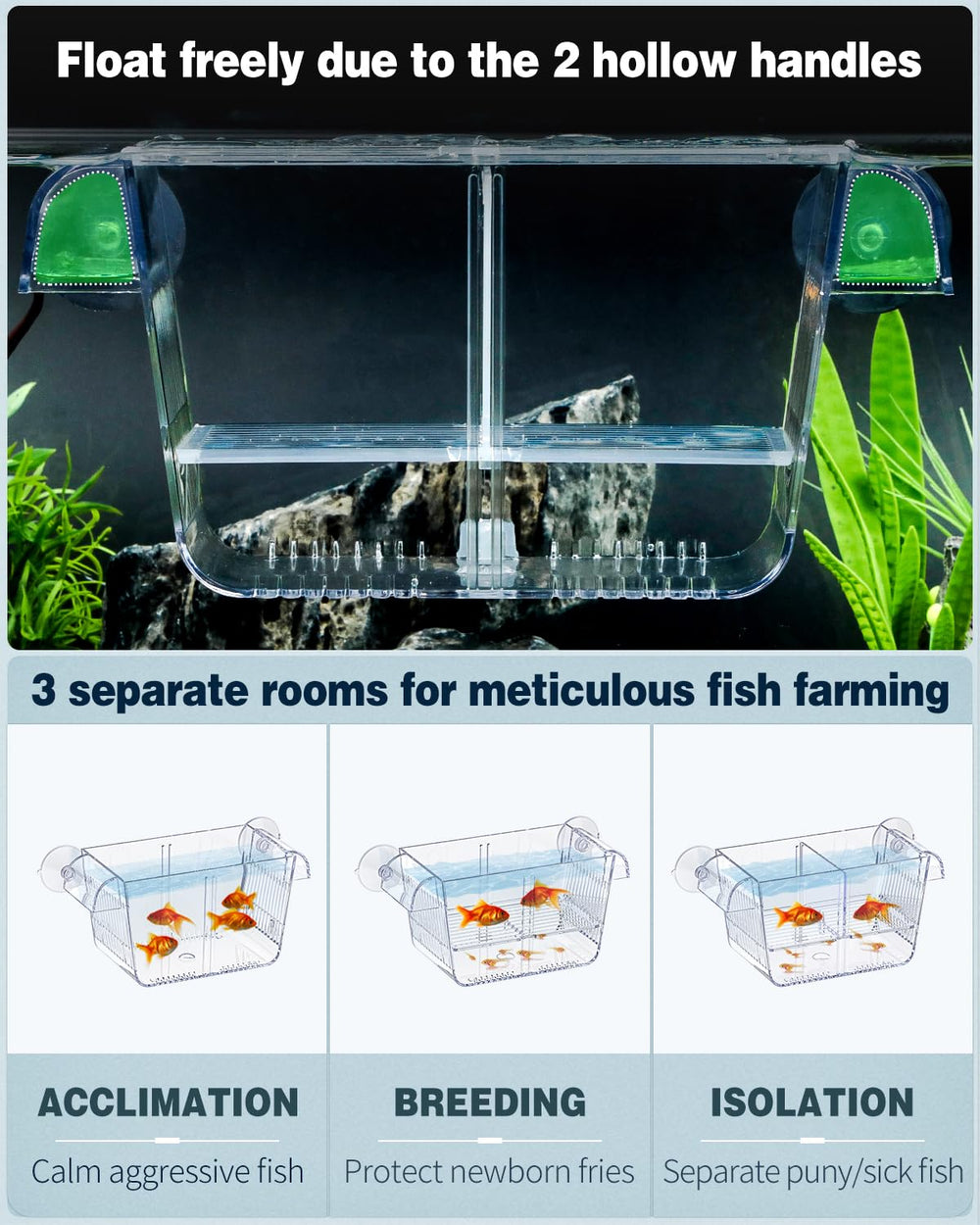 Pawfly acrylic isolation box offers transparent viewing to monitor fry and fish behavior.