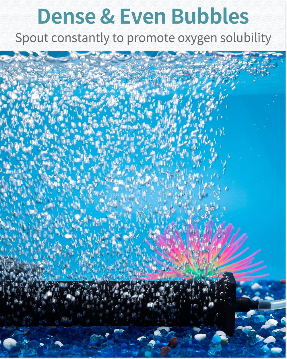 Pawfly air stone cylinder stability end-caps prevent movement during heavy bubbling.