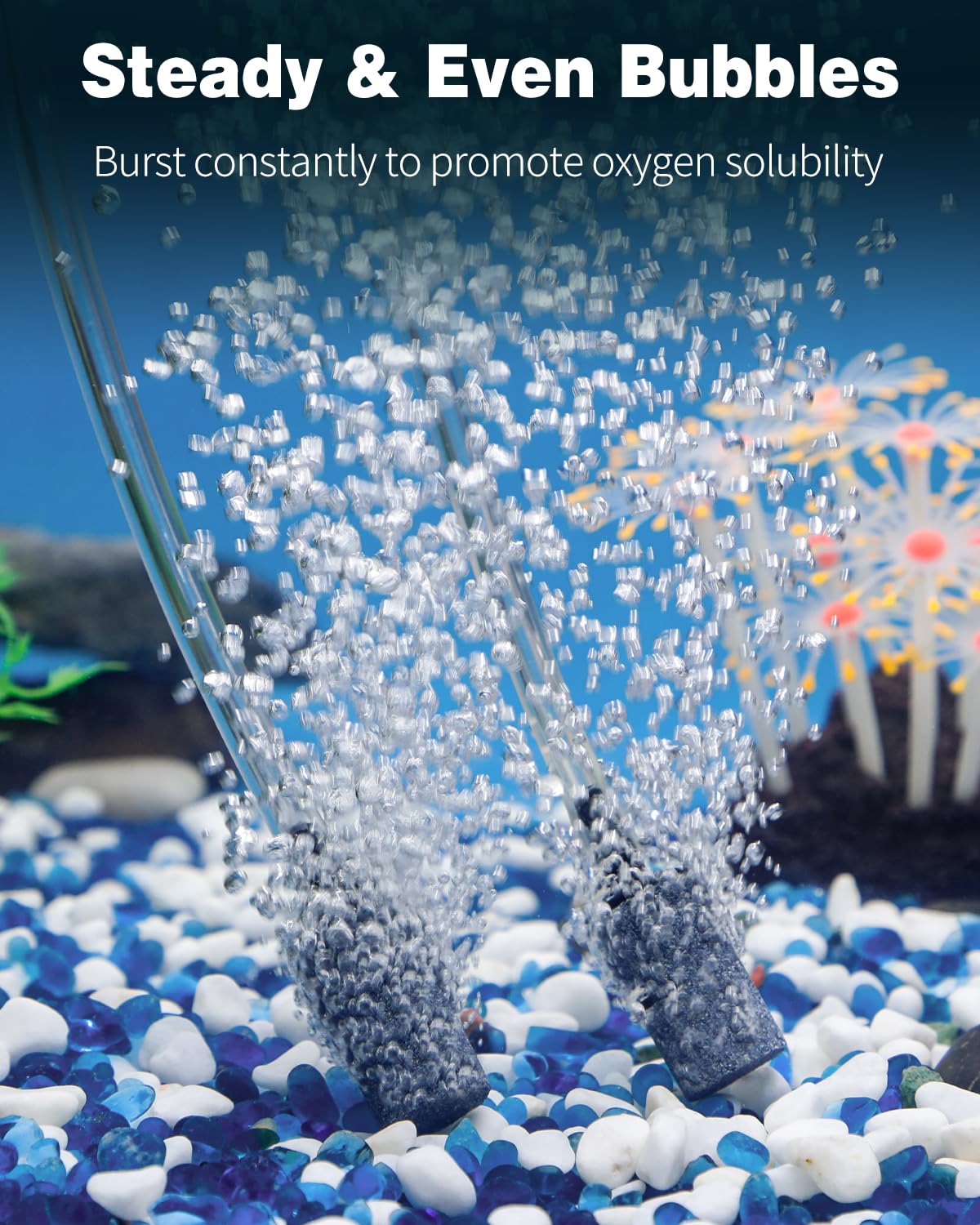 Pawfly air stone creates dense bubbles to improve aeration in small setups.