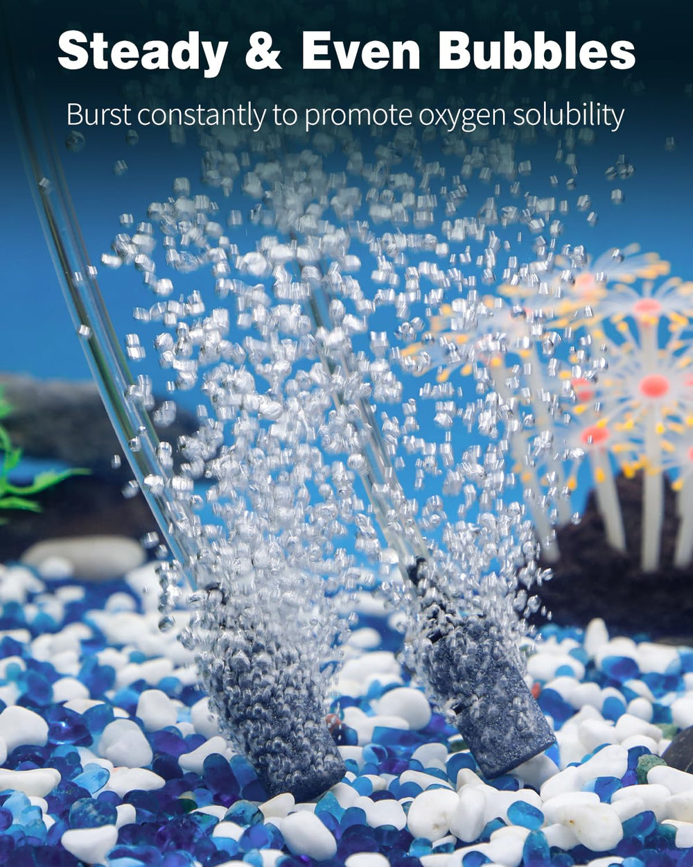 Pawfly air stone creates dense bubbles to improve aeration in small setups.