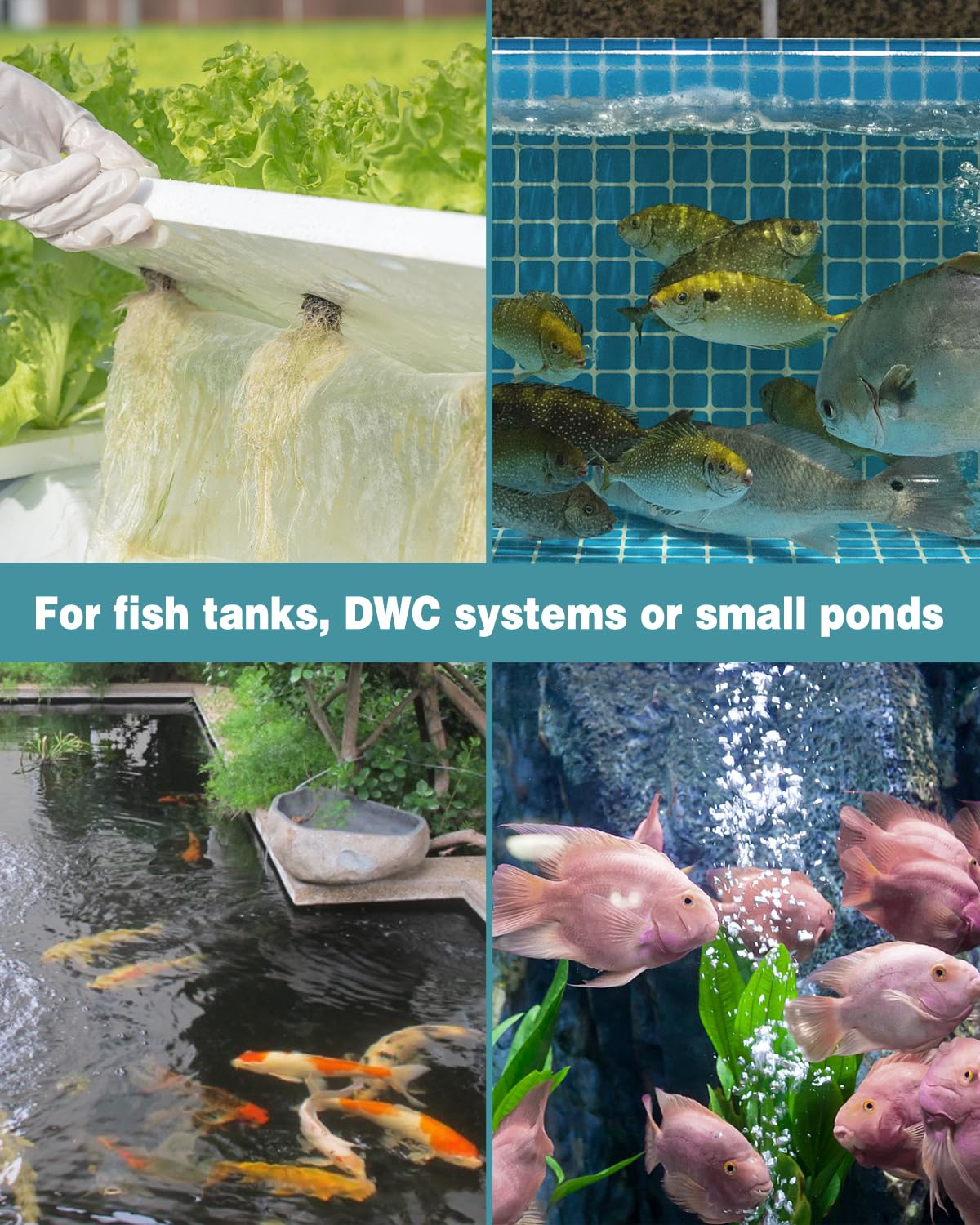 Pawfly aquarium air stone maintenance tip: soak before use and clean with a brush to prevent clogging
