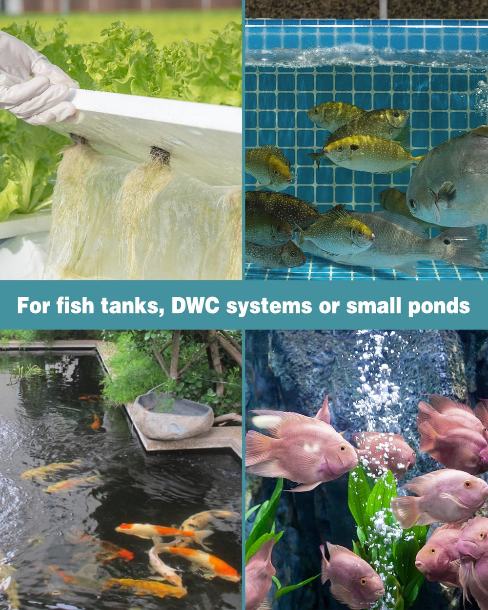 Pawfly aquarium air stone maintenance tip: soak before use and clean with a brush to prevent clogging
