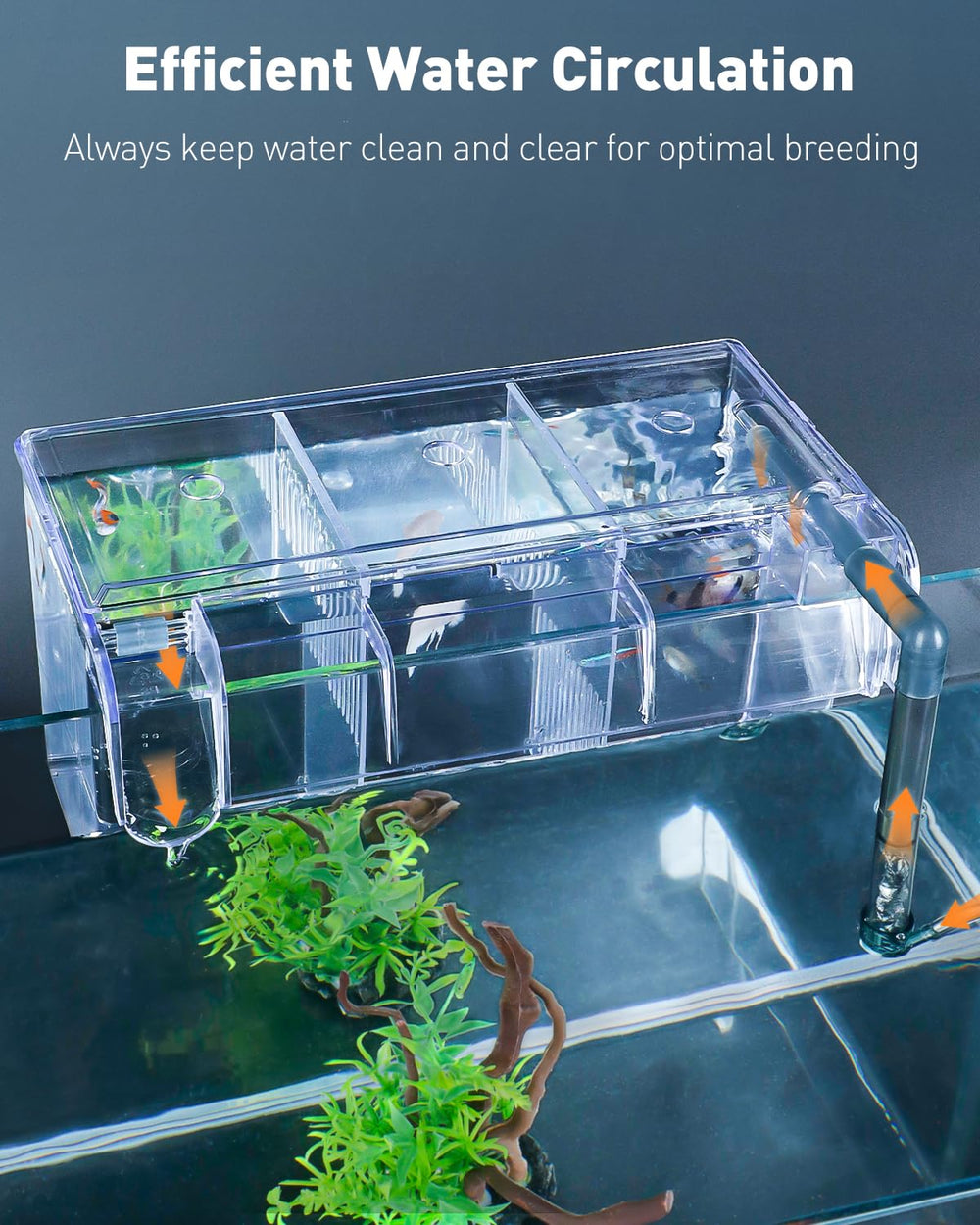 Pawfly water inlet and airflow regulator support stable fry conditions