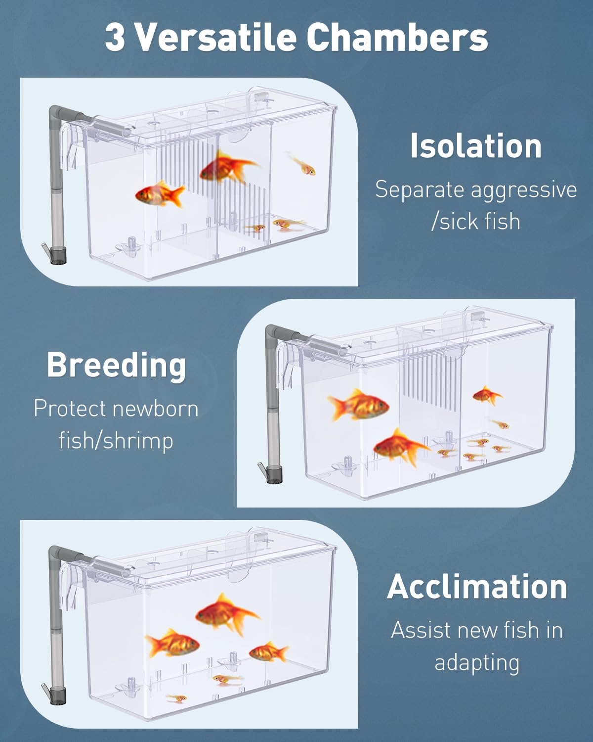 Pawfly breeding box includes water inlet pipe for better circulation