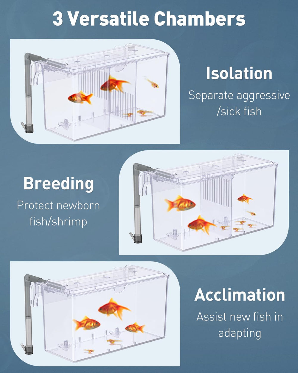 Pawfly breeding box includes water inlet pipe for better circulation