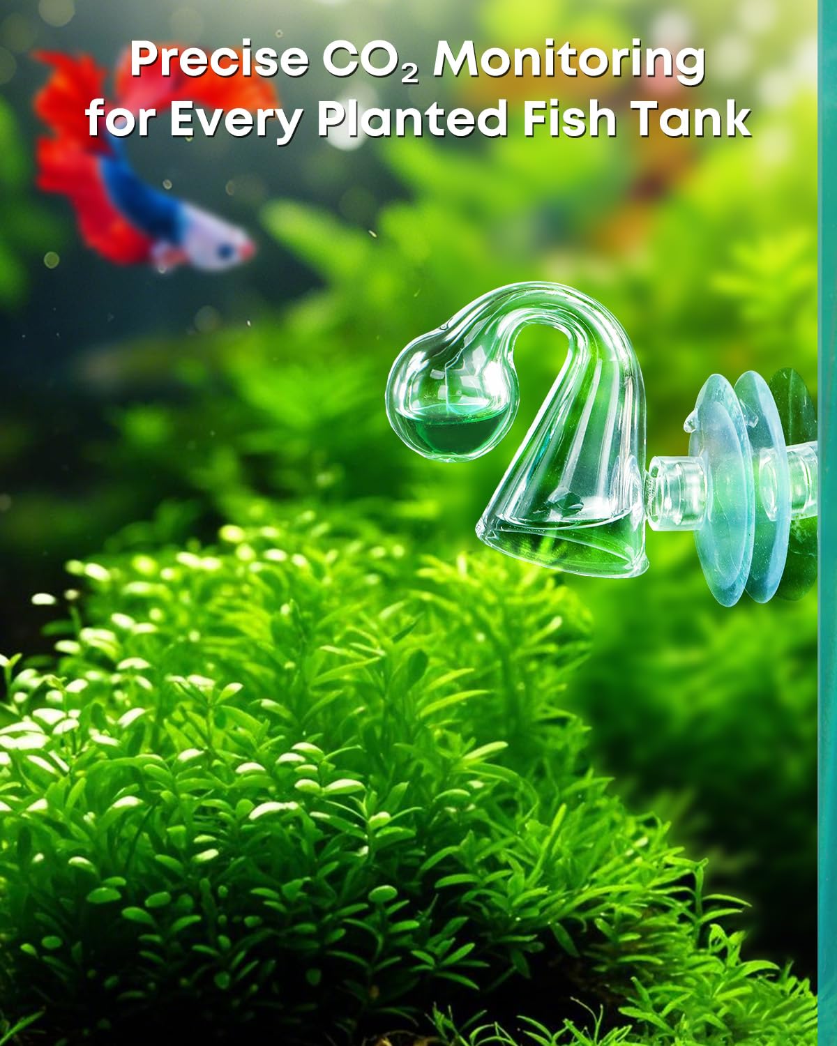 Pawfly aquarium CO2 tester demonstrates color-change accuracy
