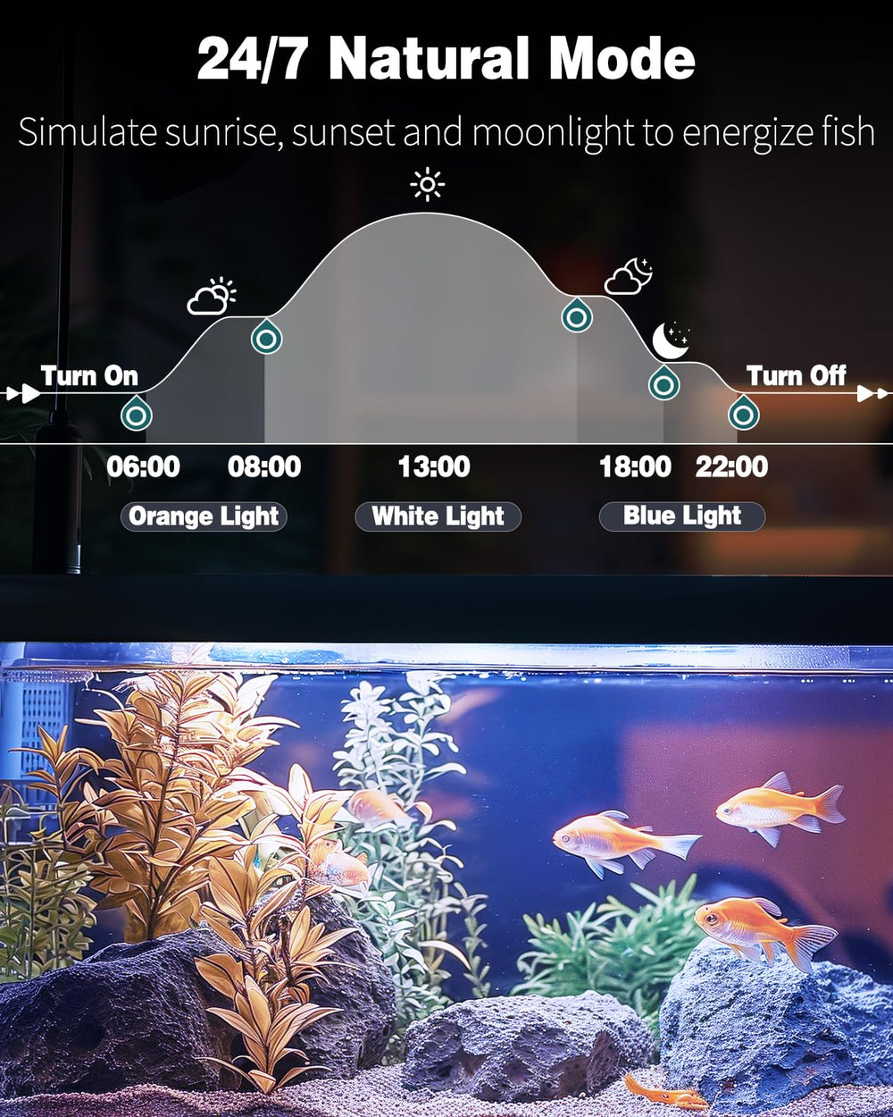 Pawfly aquarium LED light sunrise-sunset mode demonstrates natural day progression for calm tanks.