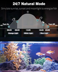 Pawfly aquarium LED light sunrise-sunset mode demonstrates natural day progression for calm tanks.