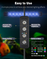 Pawfly 8-mode color cycle demonstrates dynamic lighting for customizable moods.