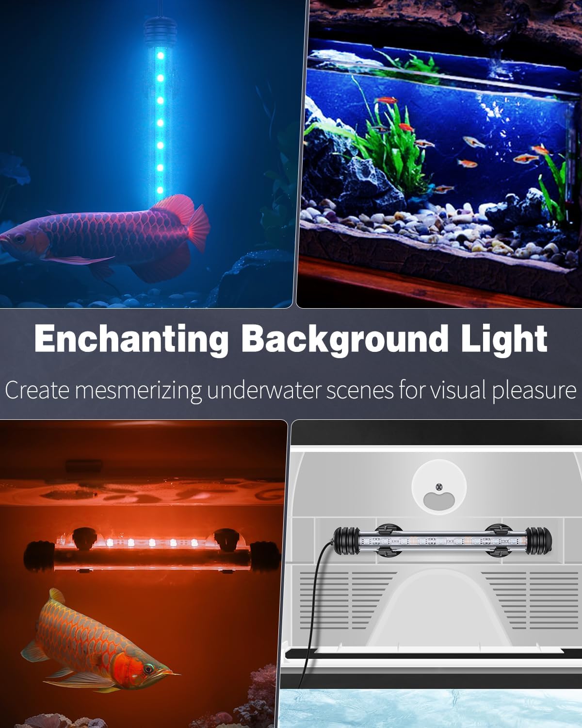 Pawfly multicolor LEDs enhance tank aesthetics with vivid color combinations.