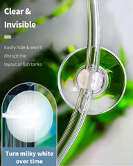 Pawfly suction cups and zip ties bind shrimp nests for neat aquascapes