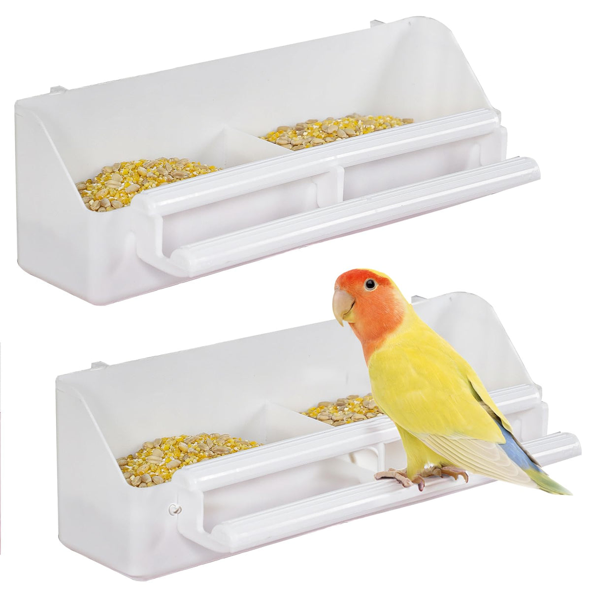 Pawfly bird feeder dual compartments for separate meals and hydration.