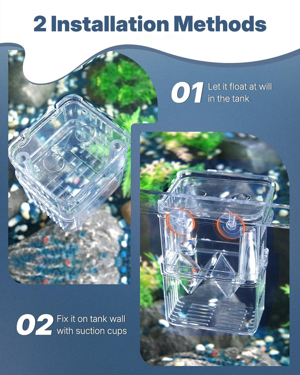 Pawfly breeding box floating design demonstrates self-floating behavior inside an active tank.
