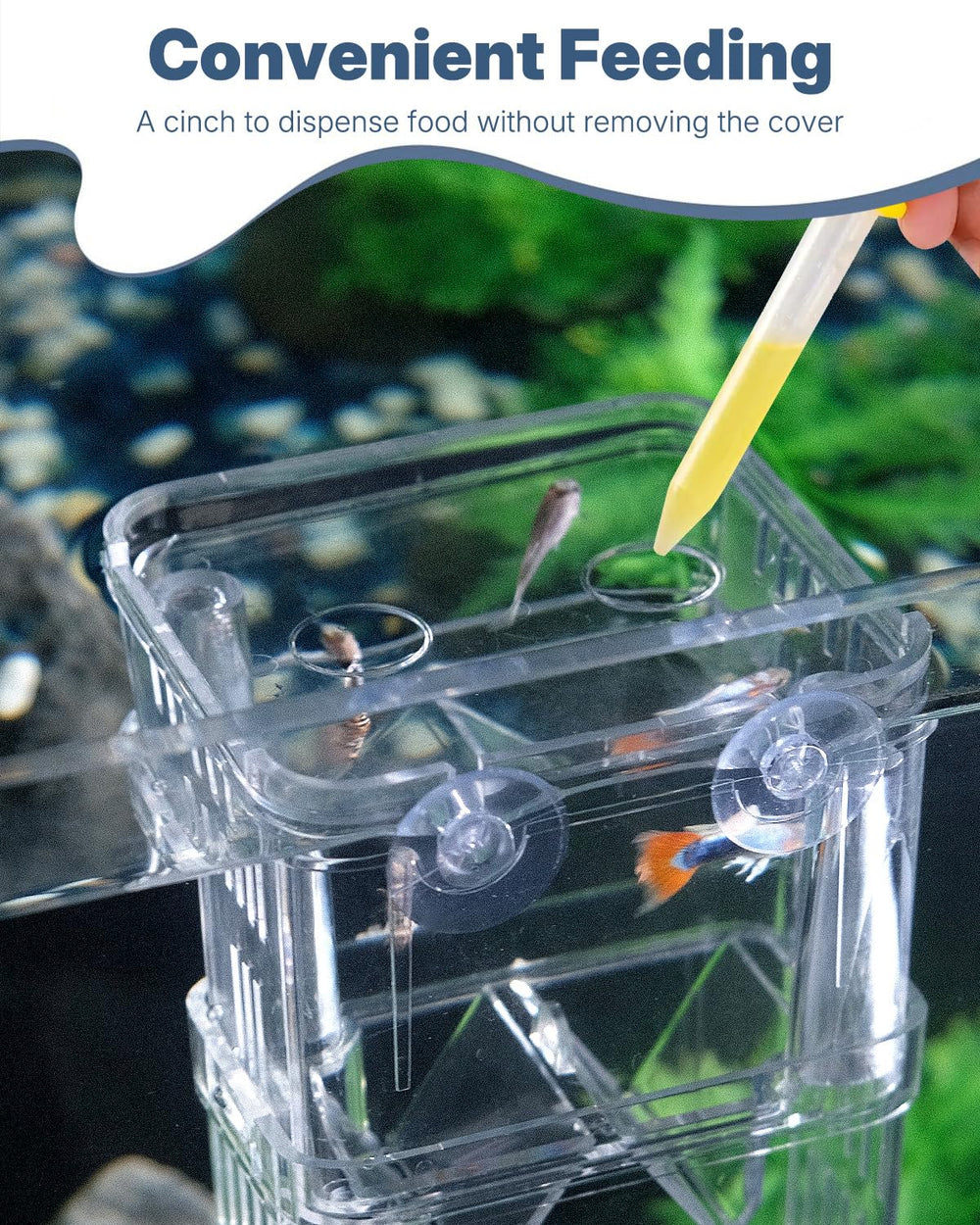 Pawfly breeding box fry-hatchery-lower shows dedicated space for safe development.