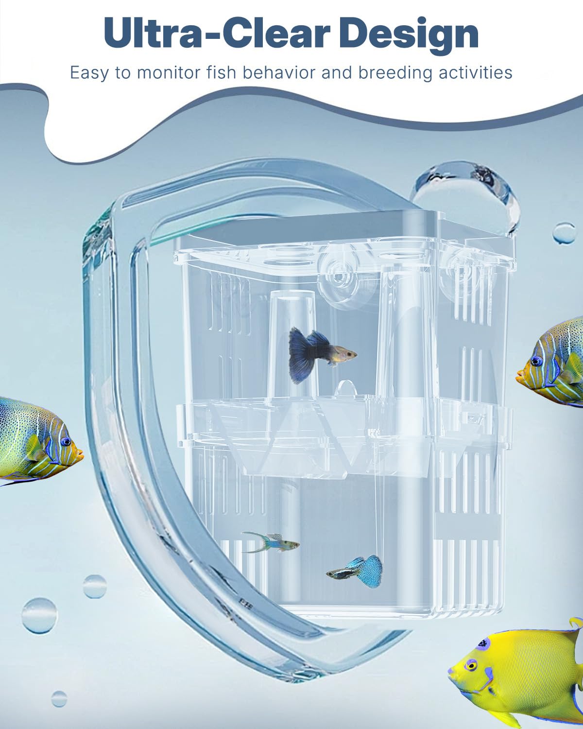 Pawfly breeding box suction cups in-use illustrate secure attachment to tank walls.