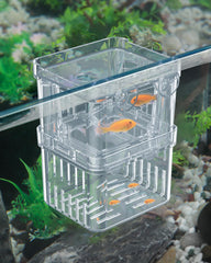 Pawfly breeding box top view shows compact, translucent design for easy fry monitoring.