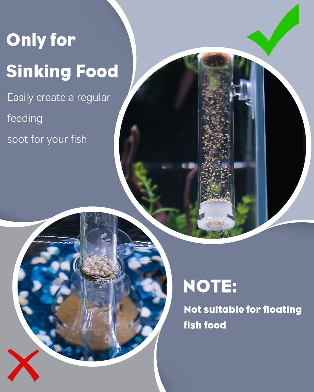 Pawfly clear glass feeder shows remaining food for smarter feeding.