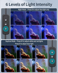 Pawfly day-night-mode controls demonstrate adjustable brightness and natural cycles.
