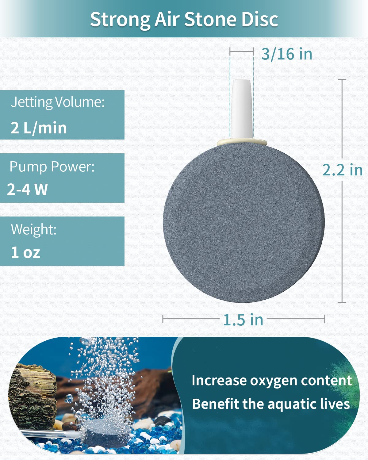 Pawfly DWC reservoir setup with air diffuser for root oxygenation