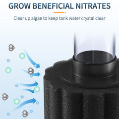 Pawfly foam filter close-up highlighting silent aeration and gentle water movement.