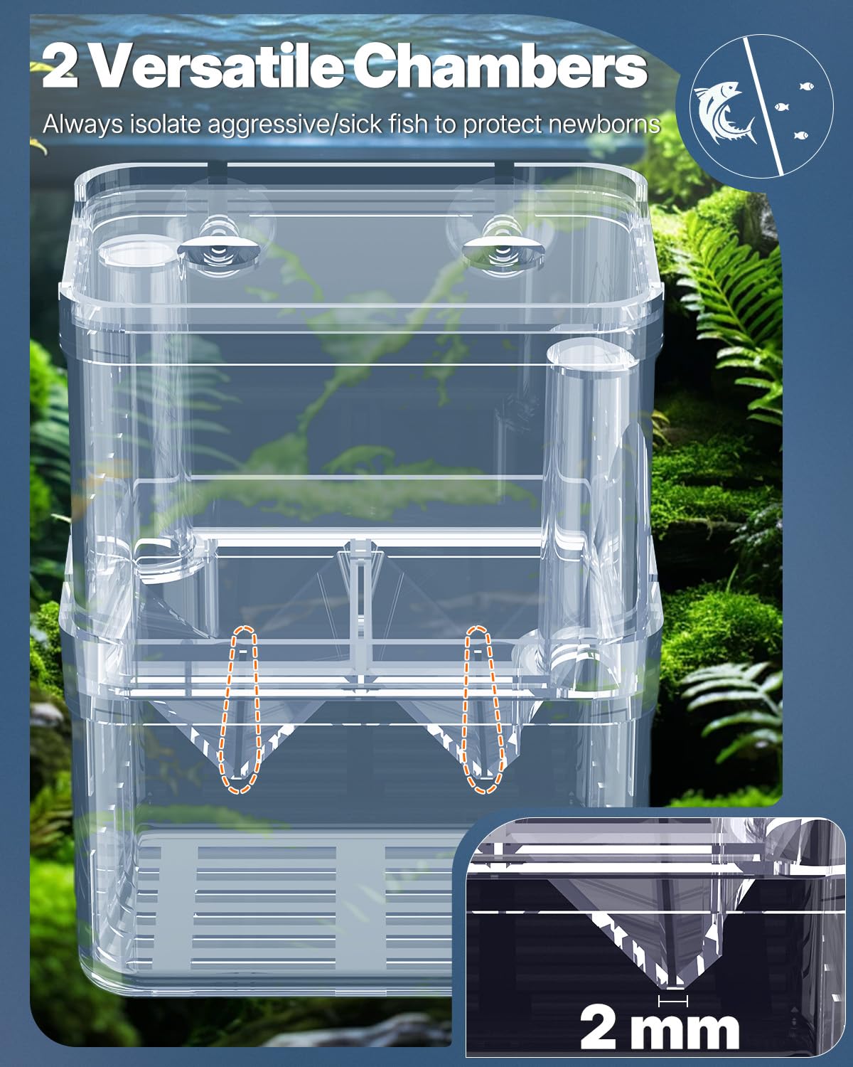 Pawfly fry hatchery top view demonstrates dual chambers for different stages.
