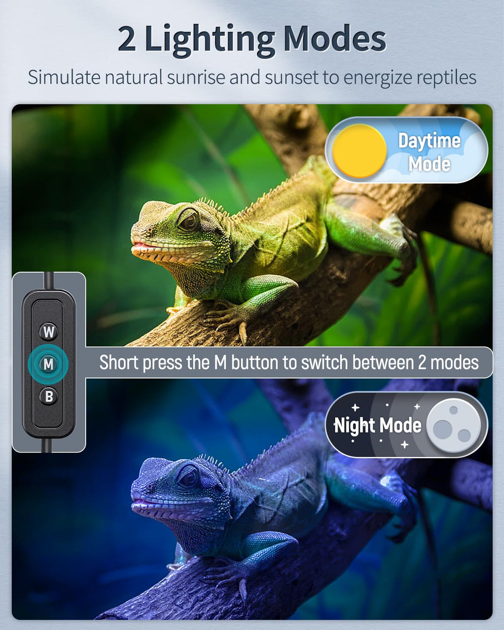 Pawfly full-spectrum LED shows vibrant colors for easier viewing of enclosure details.