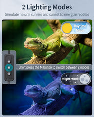 Pawfly full-spectrum LED shows vibrant colors for easier viewing of enclosure details.