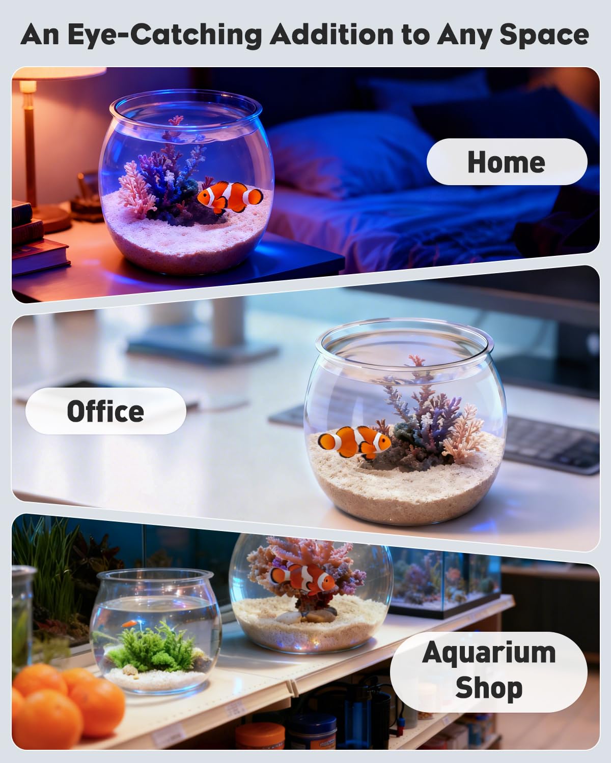Pawfly gift-ready goldfish bowl, perfect for gifting on special occasions.