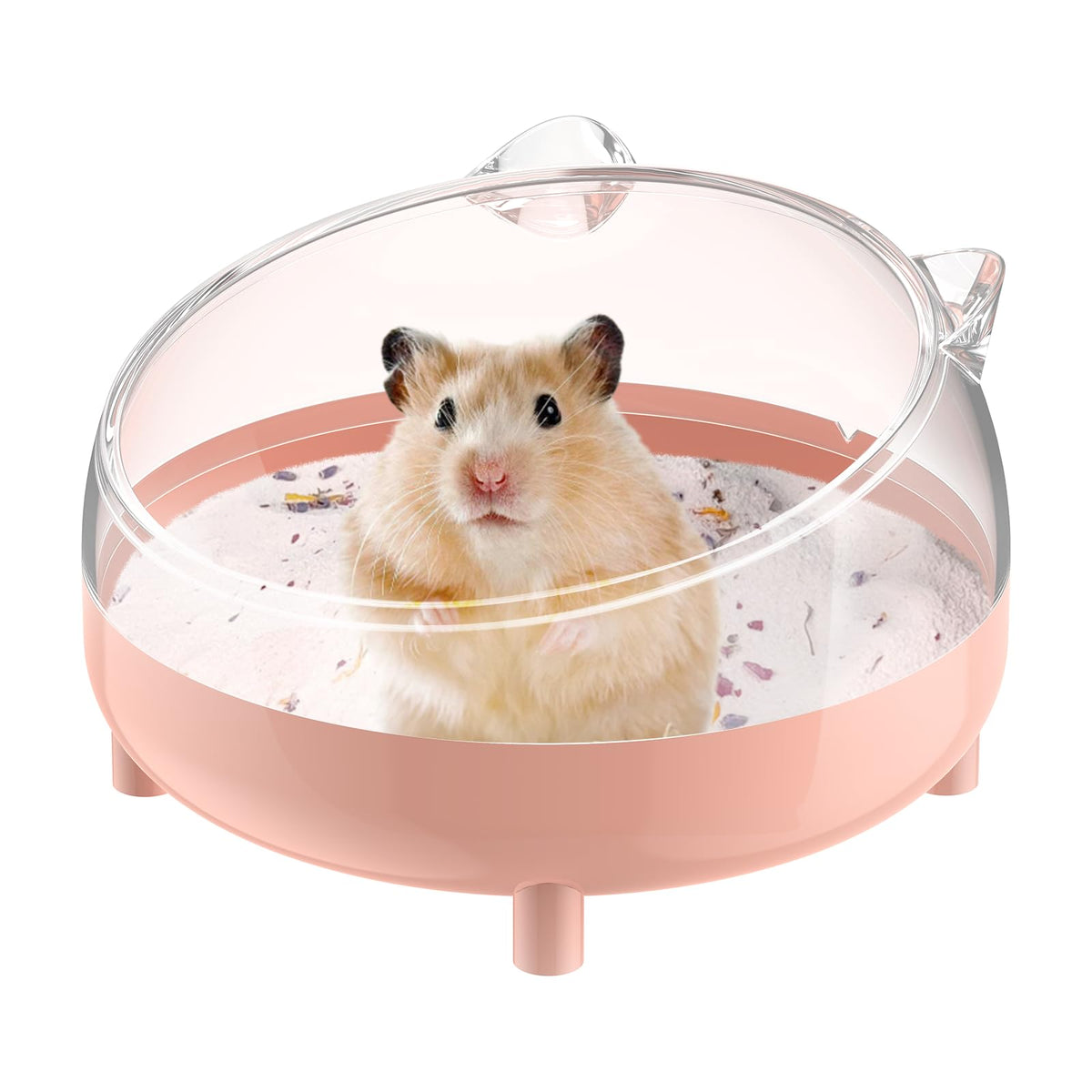 Pawfly hamster sand bath container outer view showing durable 3mm PP plastic for daily grooming
