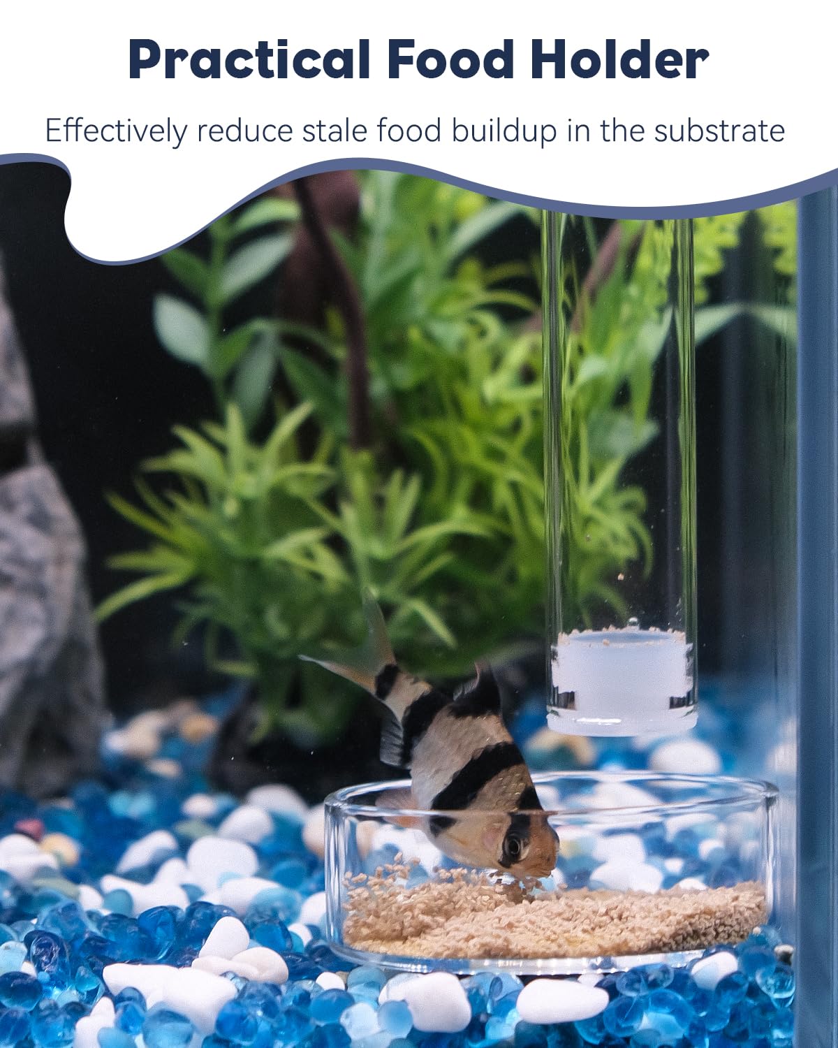 Pawfly in-tank setup demonstrates easy installation and use.