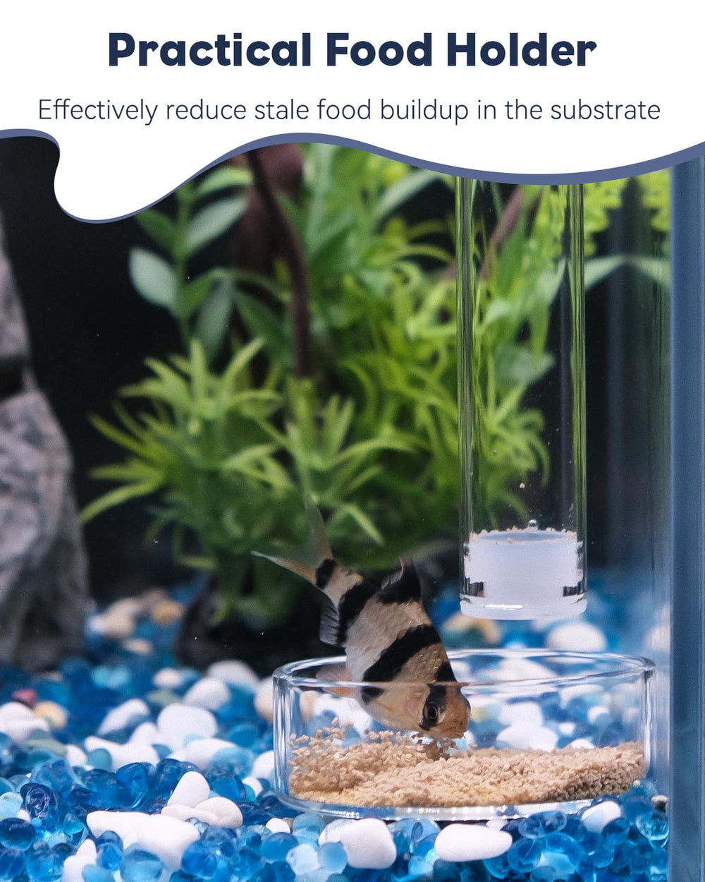 Pawfly in-tank setup demonstrates easy installation and use.
