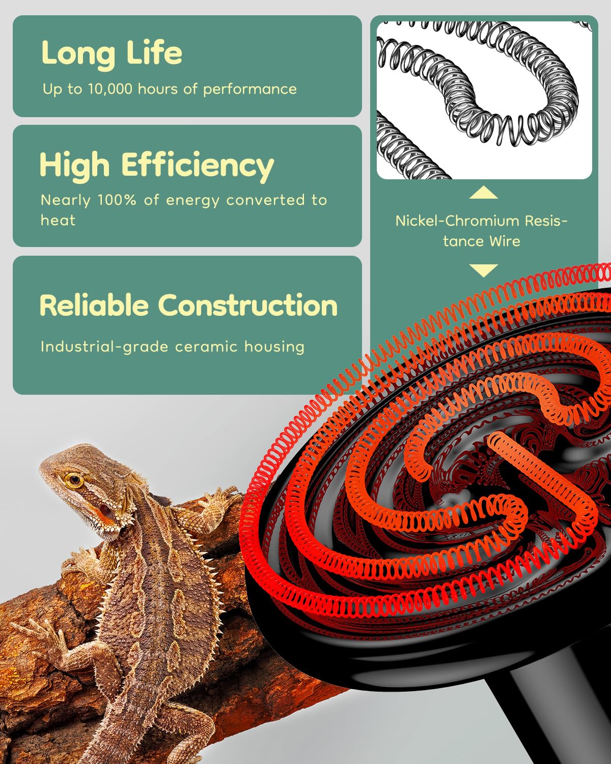 Pawfly Industrial Ceramic Housing resists moisture and heat in reptile setups.