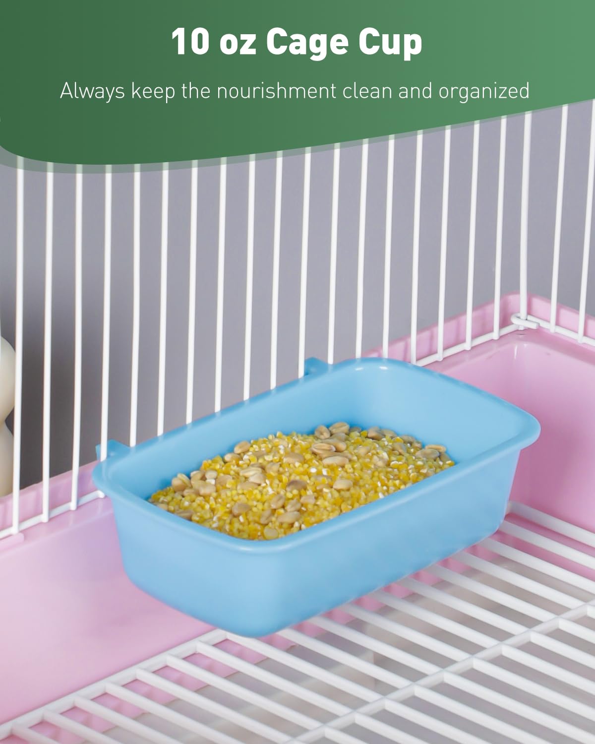 Pawfly lightweight plastic dish ready for quick cleaning after meals.