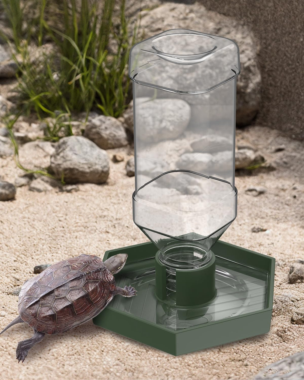 Pawfly multi-pet water feeder illustrates versatile use for turtles, lizards, and small mammals