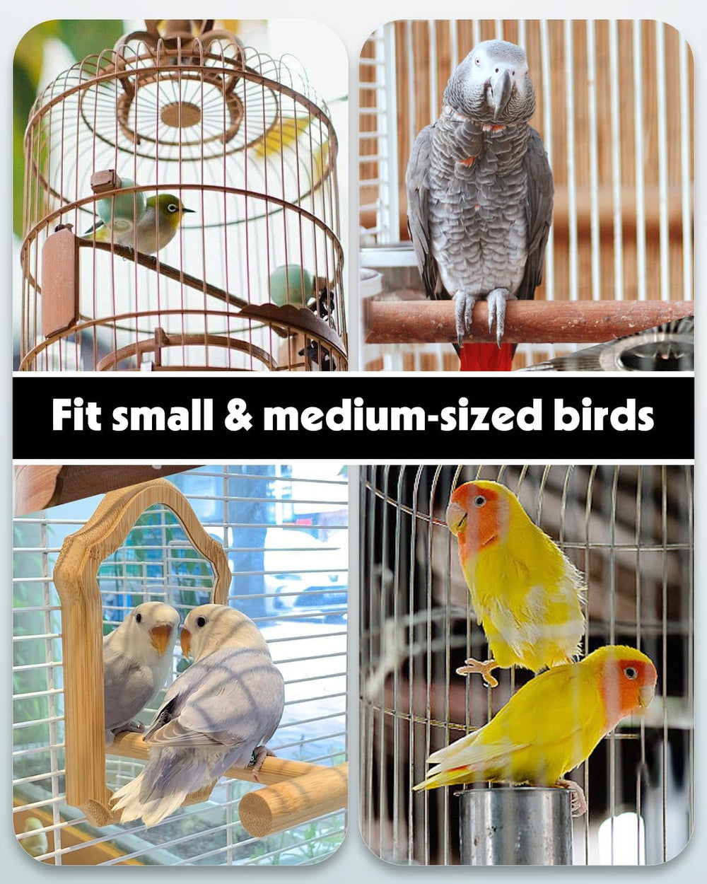 Pawfly multipurpose waterers double as seed feeders for quails, parrots, and budgies.
