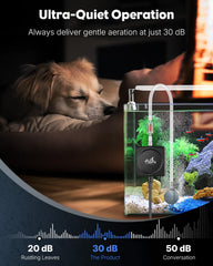 Pawfly Nano Silent Aquarium Air Pump compact design fits tiny tanks for neat setups.