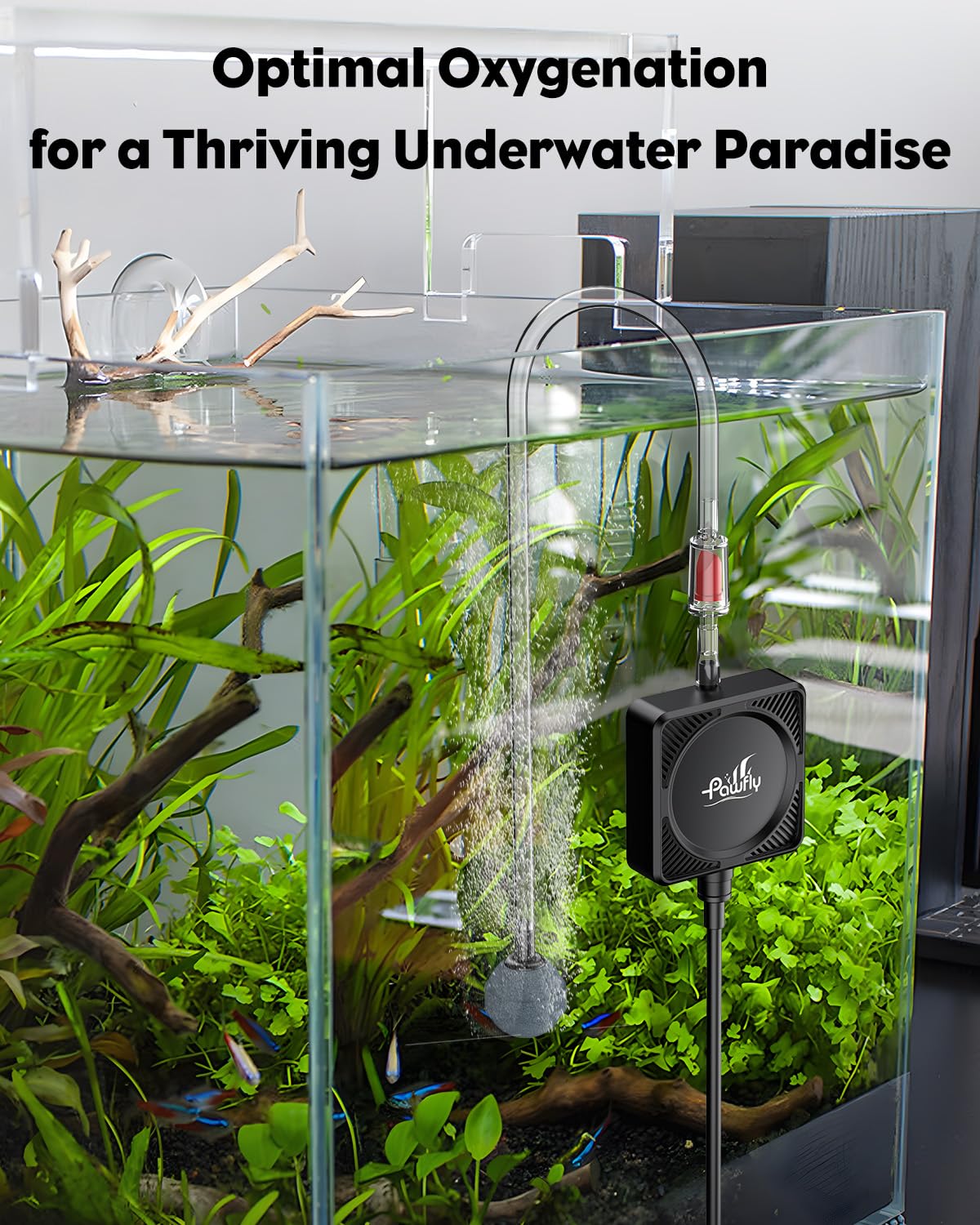 Pawfly Nano Silent Aquarium Air Pump with suction cups for flexible placement on tank walls.