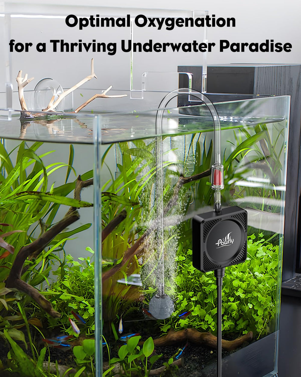 Pawfly Nano Silent Aquarium Air Pump with suction cups for flexible placement on tank walls.
