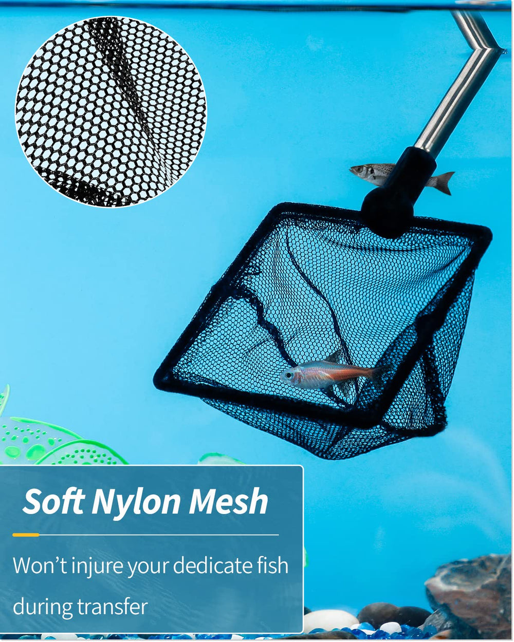Pawfly net used for safe fish transfer including small koi
