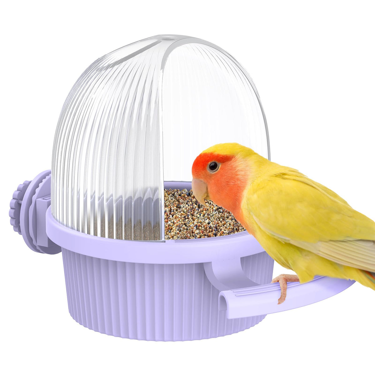 Pawfly No Mess Bird Feeder front view highlights easy-access feeding for parakeets