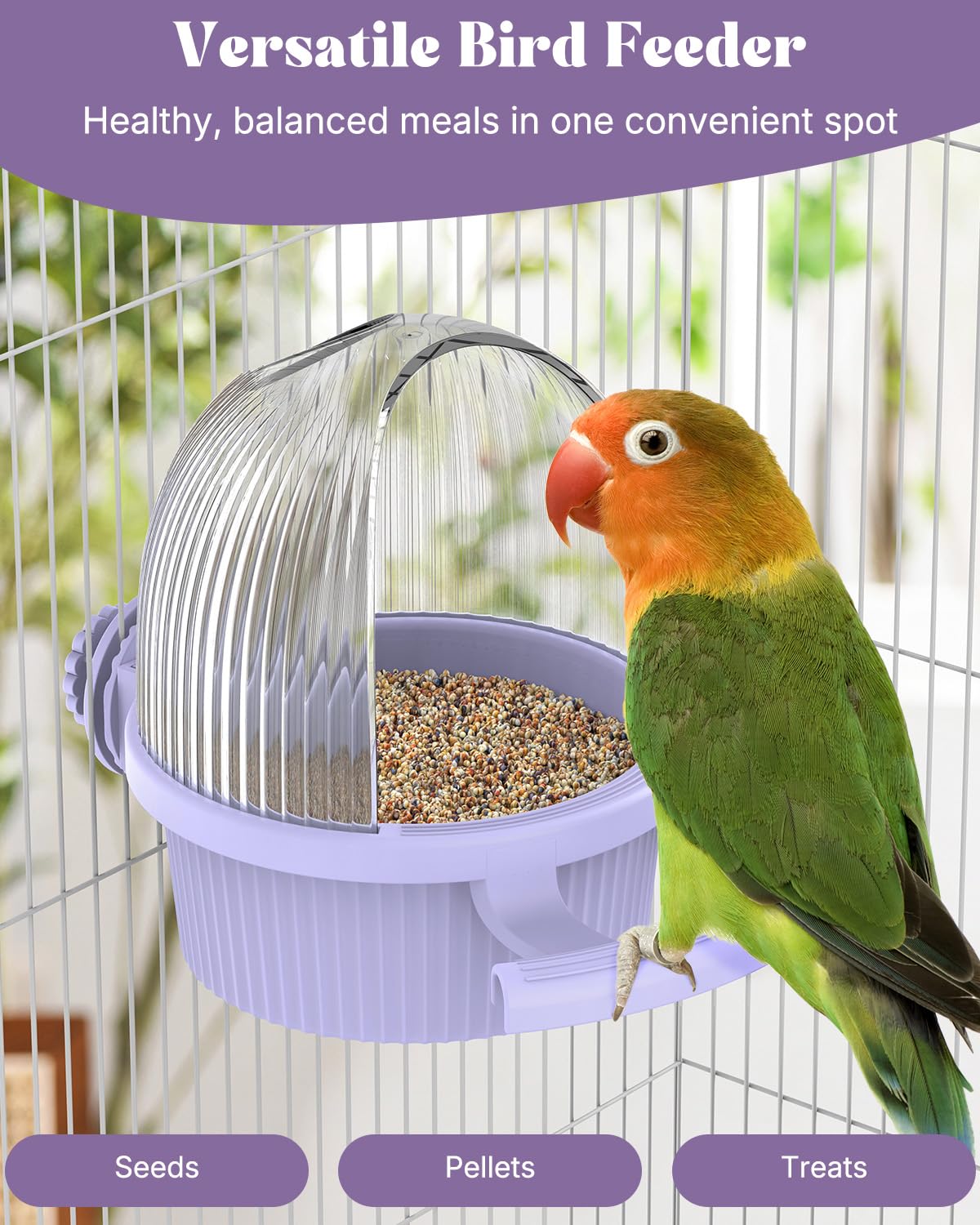 Pawfly No Mess Bird Feeder seed and water bowl supports versatile meals