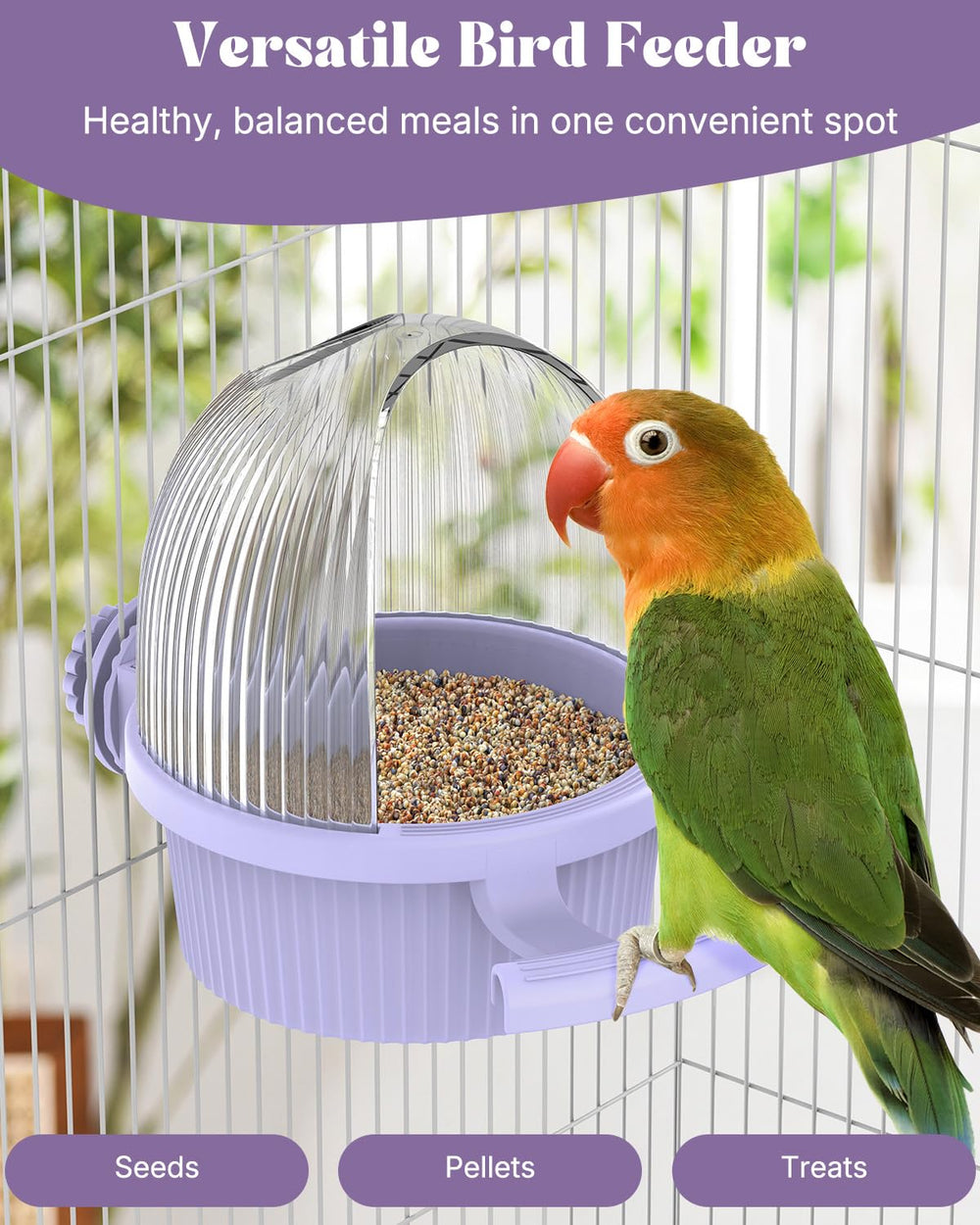 Pawfly No Mess Bird Feeder seed and water bowl supports versatile meals